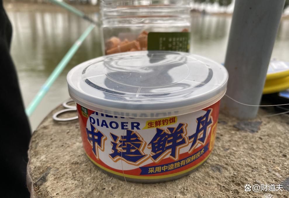 中逵鮮丹實戰路滑，釣獲鳊魚、鱸魚！