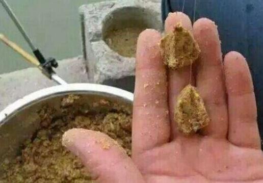 冬天就要這樣垂釣鳊魚，學會這幾種小技巧，收獲會滿滿當當