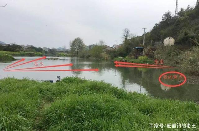鳊魚難釣？試試這五大招，招招有魚來！新手學了馬上爆護