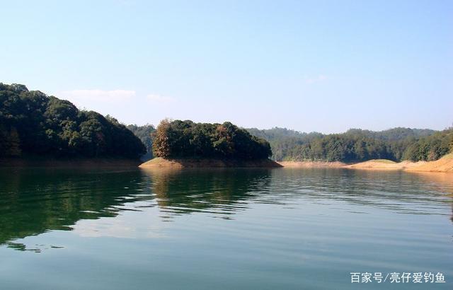 分享黃田水庫實戰垂釣鳊魚經歷！詳細解析調三釣三垂釣鳊魚的優點